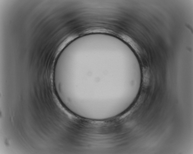 X0000097861282200803140848