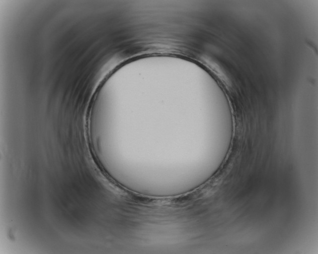X0000097861283200803140848