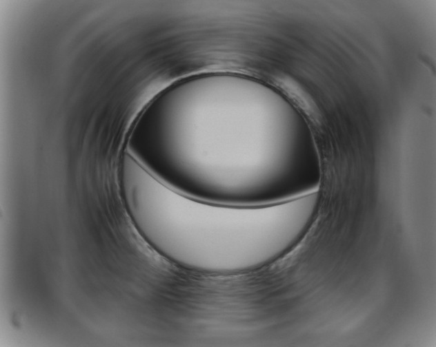 X0000097861284200803140848