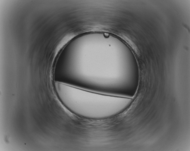 X0000097861285200803140848