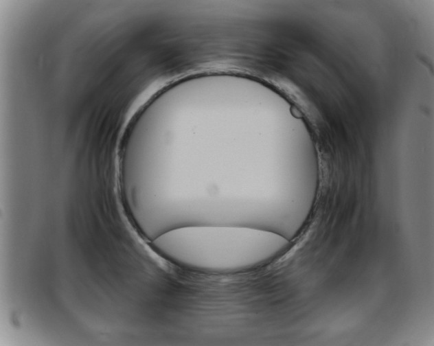 X0000097861286200803140848
