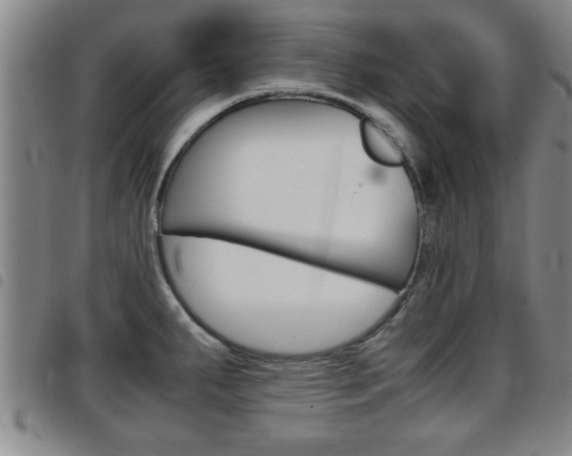 X0000097861287200803140848