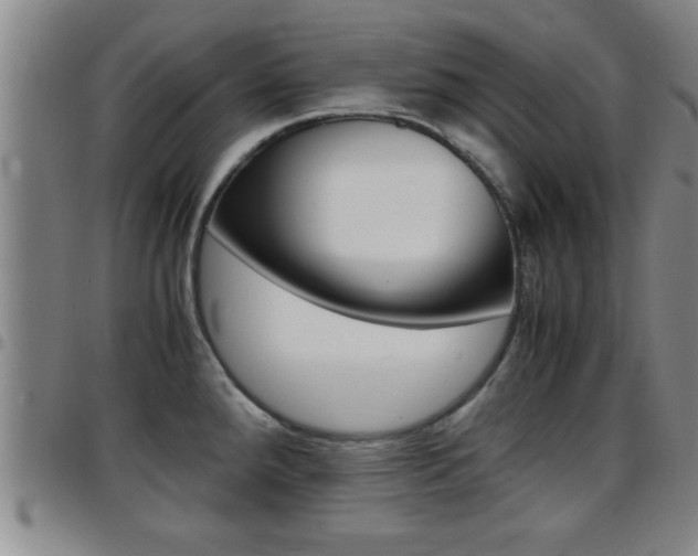 X0000097861288200803140848