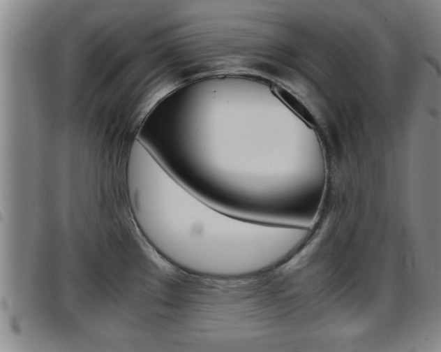 X0000097861289200803140848