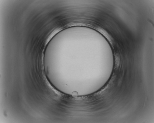 X0000097861290200803140848