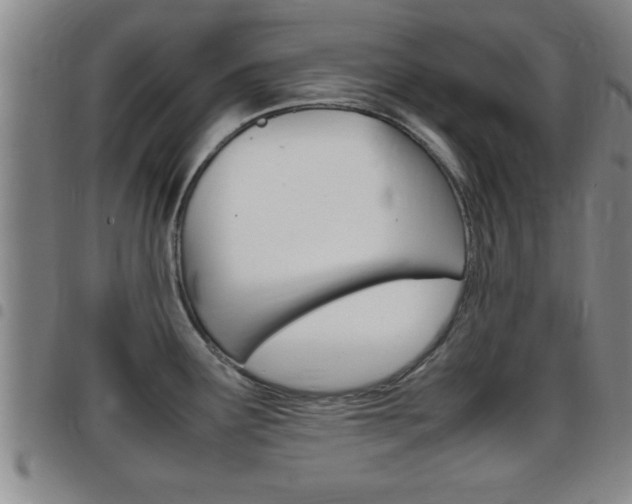 X0000097861291200803140848