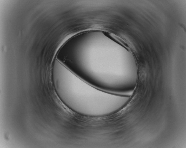 X0000097861292200803140848