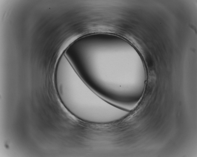 X0000097861293200803140848