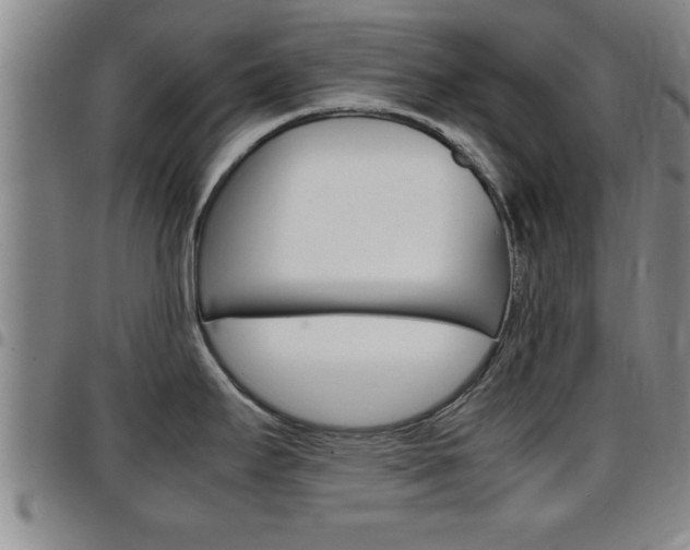 X0000097861295200803140848