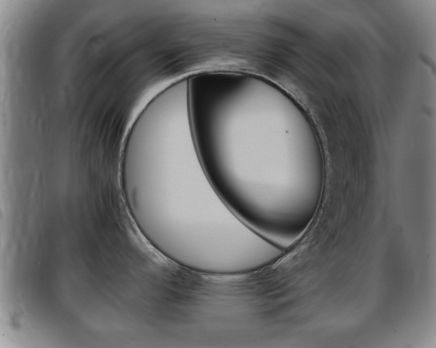 X0000097861296200803140848