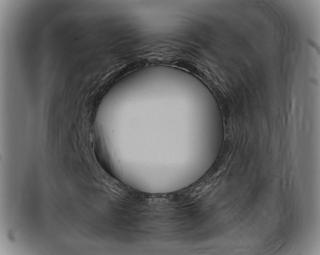 X0000097861297200803140847