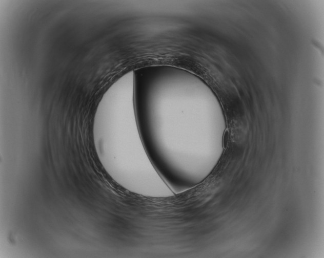 X0000097861298200803140847