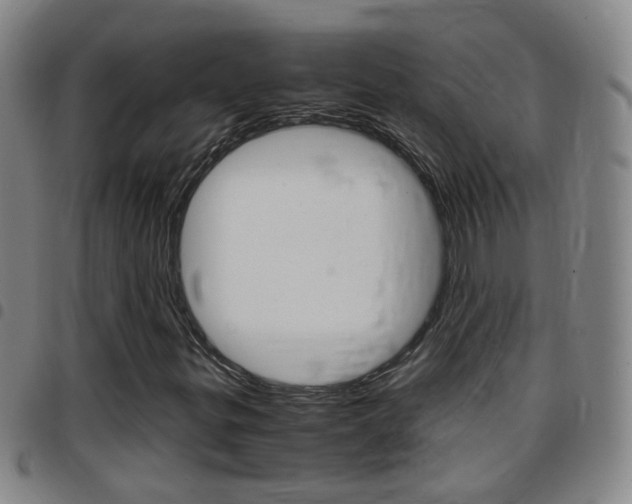 X0000097861299200803140847
