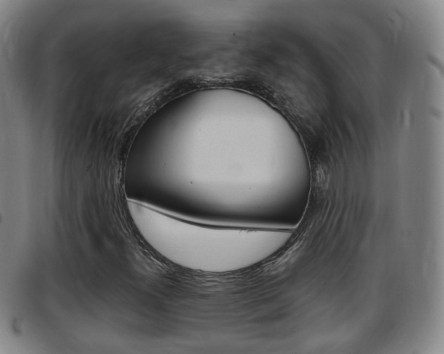 X0000097861300200803140847