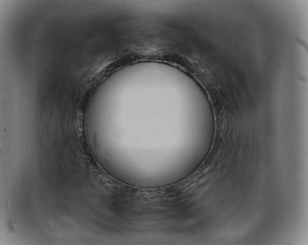 X0000097861301200803140847