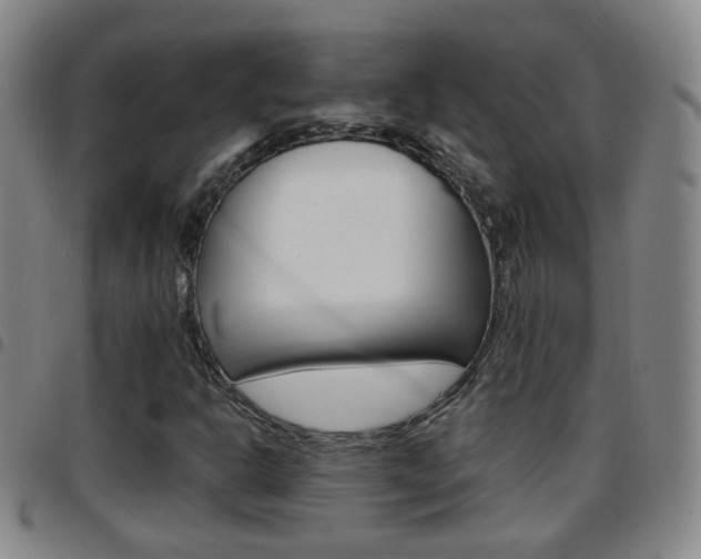 X0000097861302200803140847