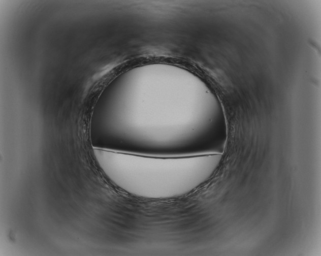 X0000097861303200803140847