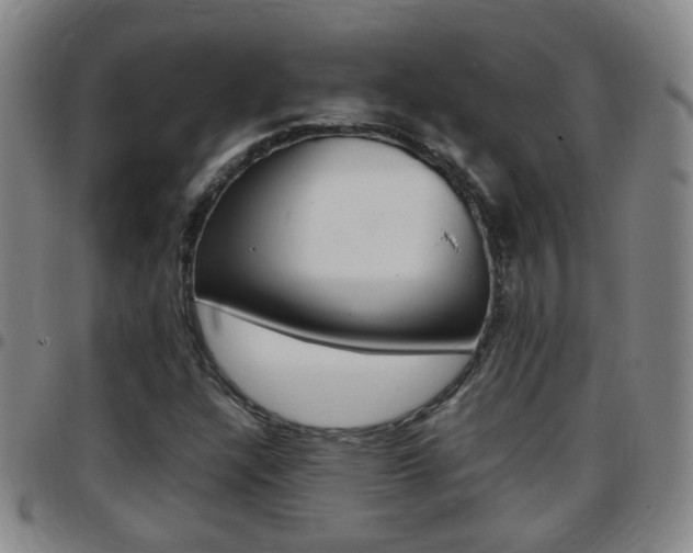 X0000097861304200803140847