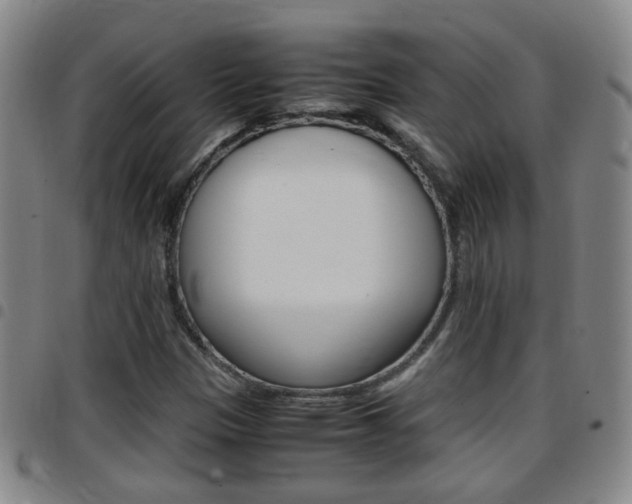 X0000097861305200803140847