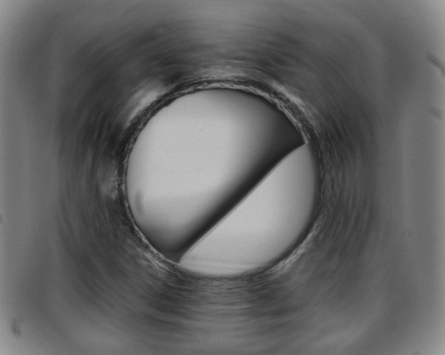 X0000097861306200803140847