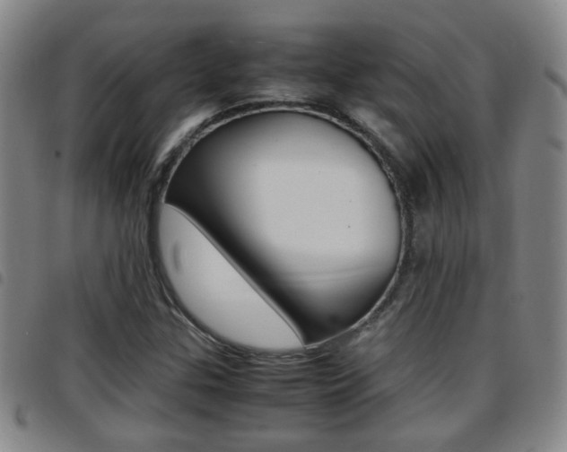 X0000097861307200803140847