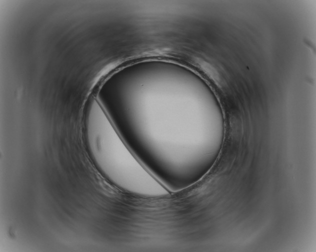 X0000097861308200803140847