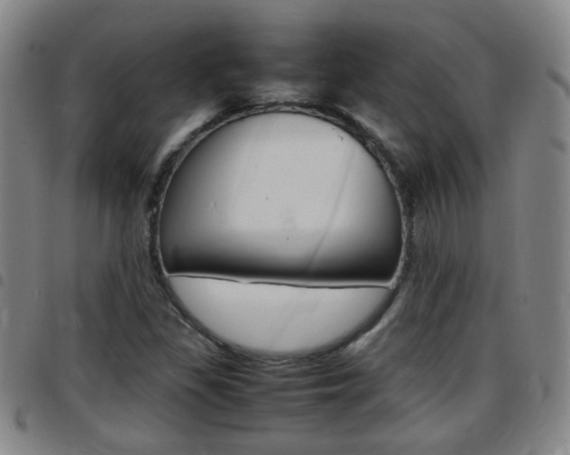 X0000097861309200803140847