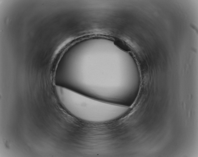 X0000097861310200803140847