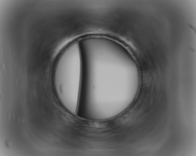 X0000097861311200803140847
