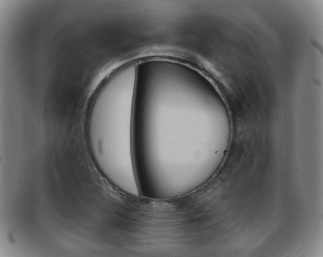 X0000097861312200803140847