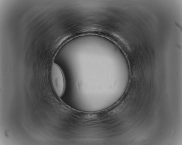 X0000097861313200803140847