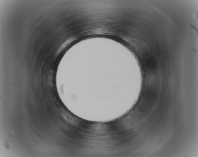 X0000097861314200803140847