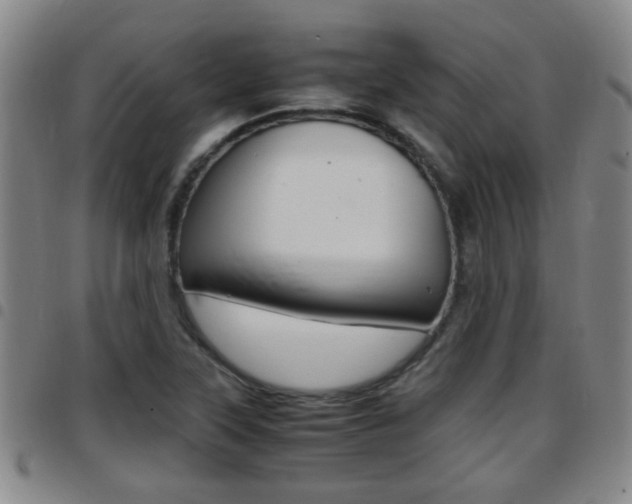 X0000097861315200803140847