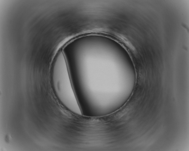 X0000097861316200803140847