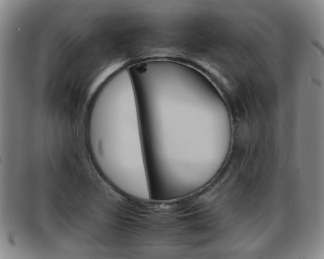 X0000097861317200803140847