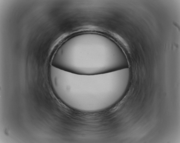 X0000097861318200803140847