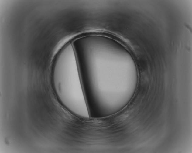 X0000097861319200803140847