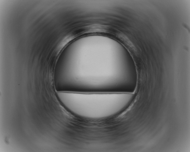 X0000097861321200803140847
