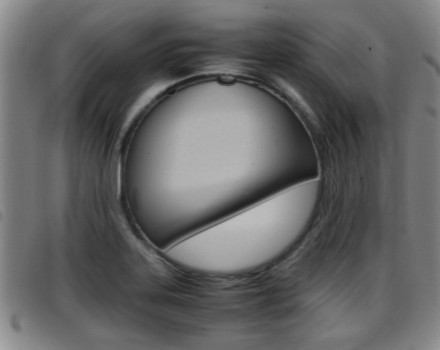 X0000097861323200803140847