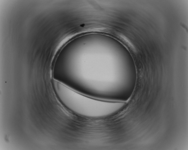 X0000097861324200803140847