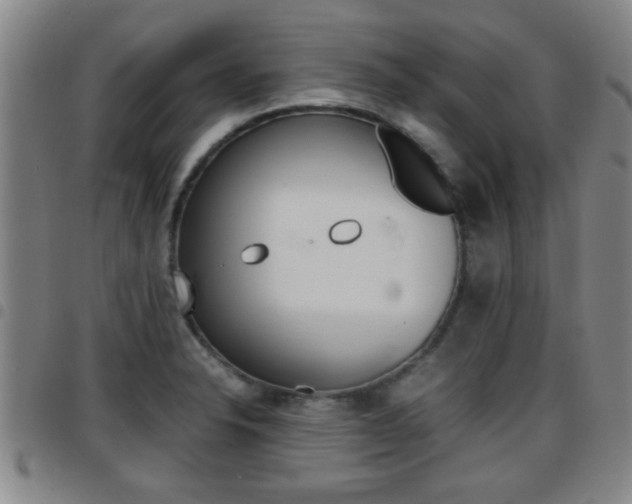 X0000097861326200803140847