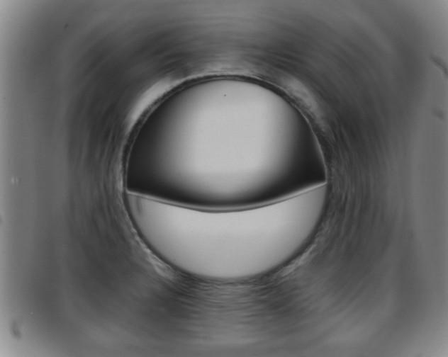X0000097861328200803140847