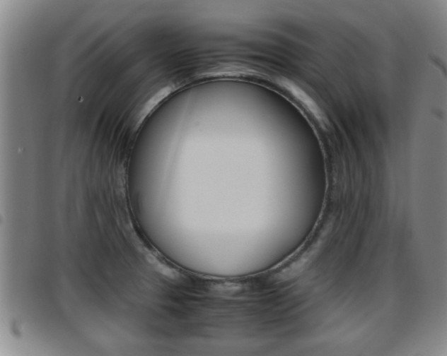 X0000097861329200803140847