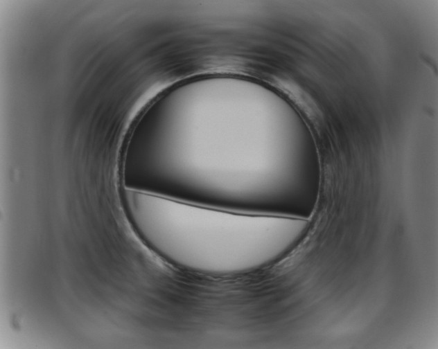 X0000097861331200803140847