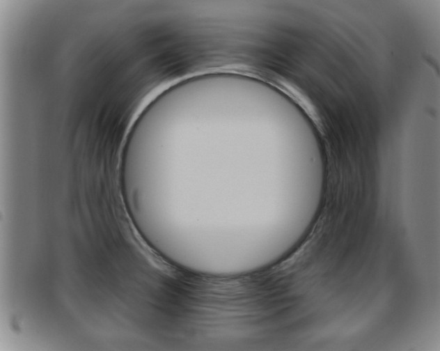 X0000097861332200803140847
