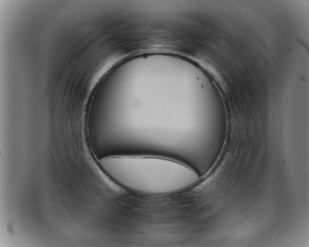 X0000097861333200803140847