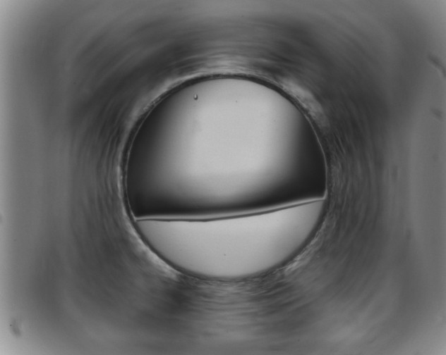 X0000097861334200803140847