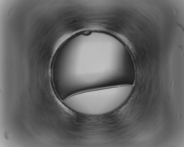 X0000097861335200803140847