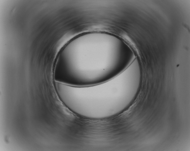 X0000097861336200803140847