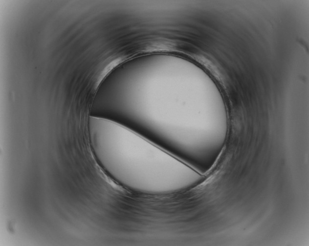 X0000097861337200803140847